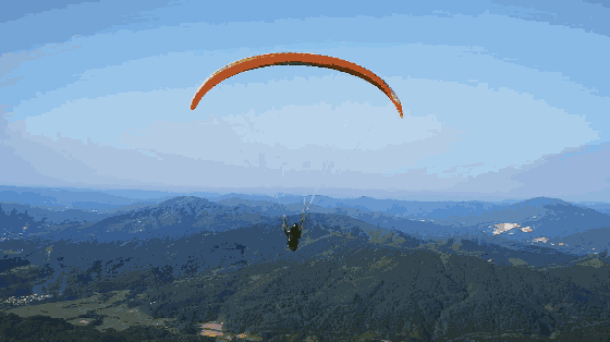 不飞一次,怎么知道自己有多勇敢 想要飞翔何必去远方 在广元就能圆你