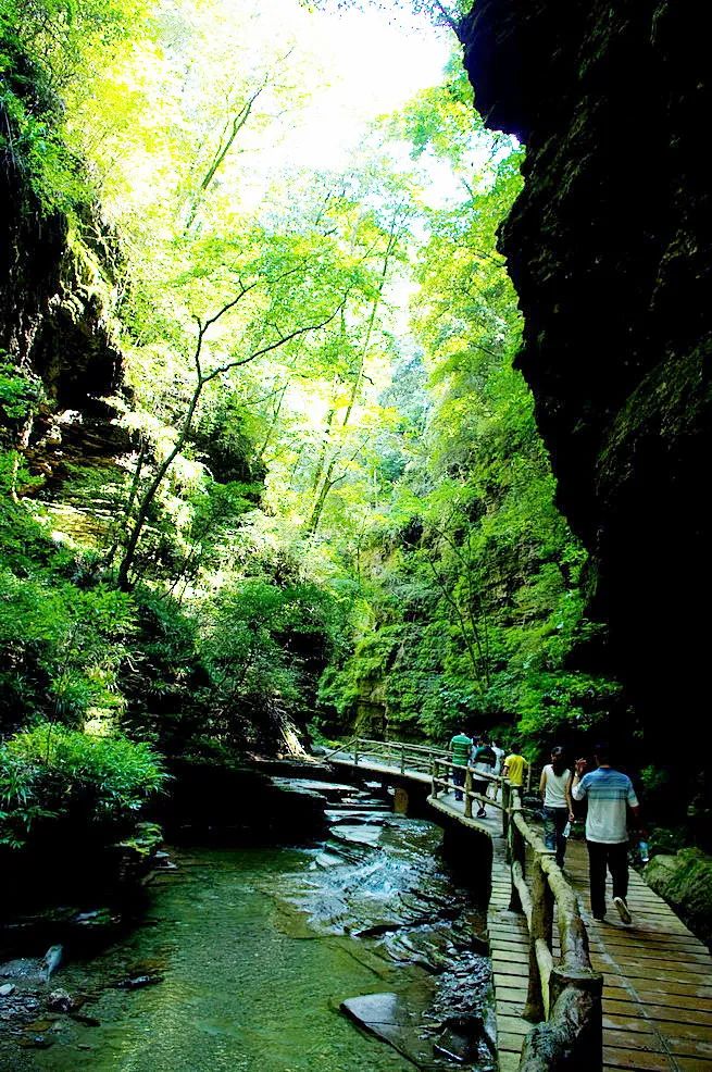 为应对五一旅游高峰,节前,旺苍根据室外景区开放安全服务和疫情