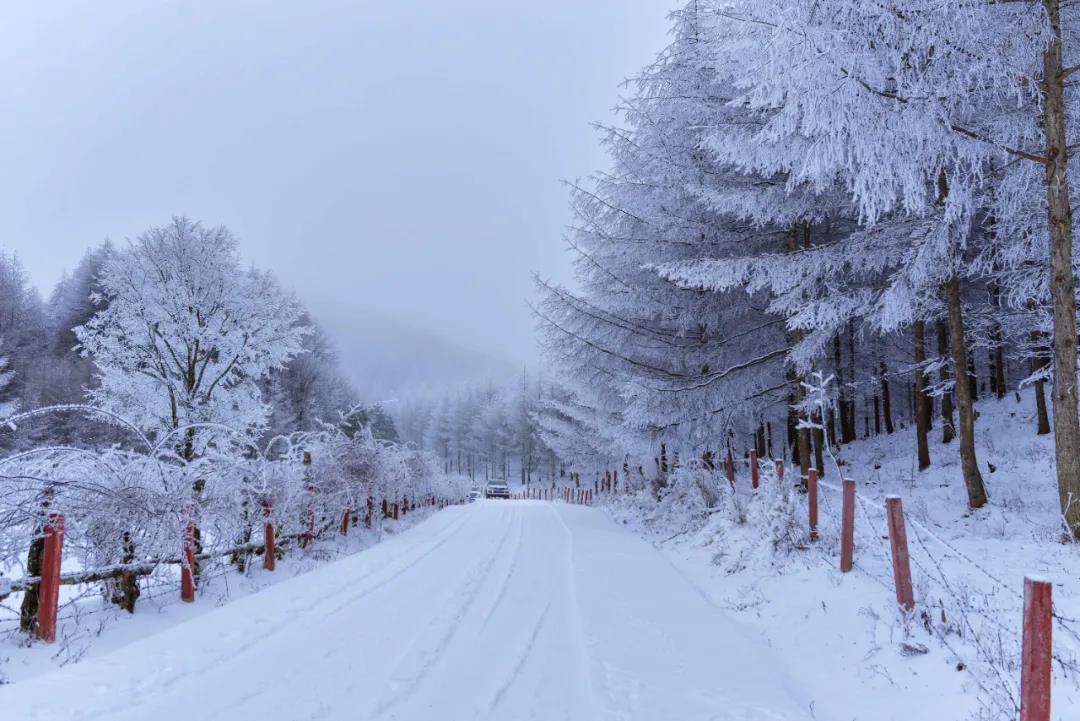 李家绝美雪景大片,爱了!
