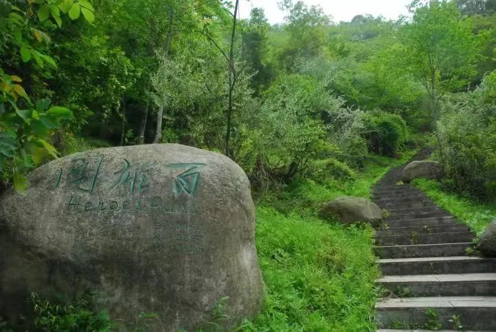 是著名的四古道之一 已成为旅游的一个景点 如邓艾厉兵秣马的点将台