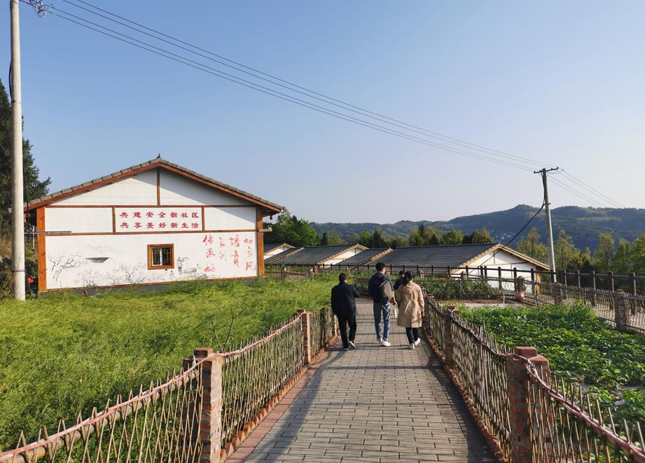广元利州:桃园村脱贫路子走对了 既安居又乐业