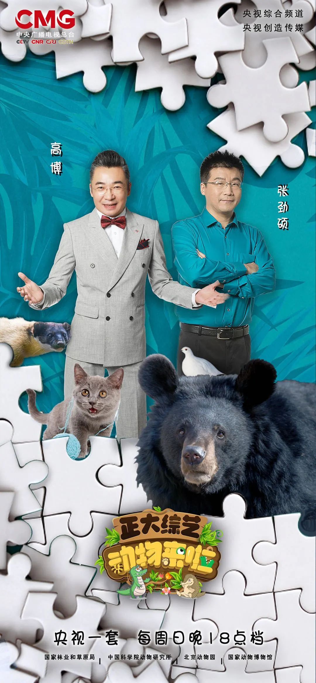 正大综艺走进唐家河:黄喉貂-是时候展示我的真面目了